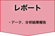 レポート・データ、分析結果報告